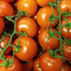 Produktfoto zu Tomaten der Woche, regional