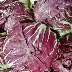 Produktfoto zu Radicchio