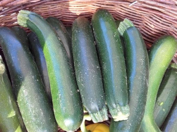 Produktfoto zu Zucchini grün