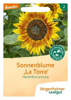 Produktfoto zu Sonnenblume La Torre