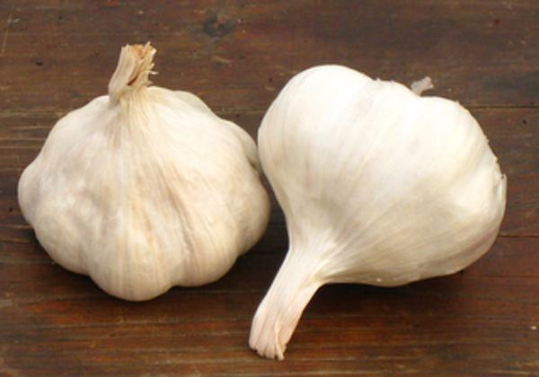 Produktfoto zu Knoblauch weiß