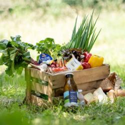 Produktfoto zu Mutter-Kind-Kisten