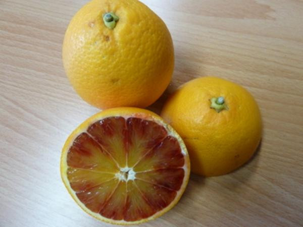 Produktfoto zu Saft-Blutorange Moro