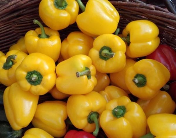 Produktfoto zu Paprika gelb, regional