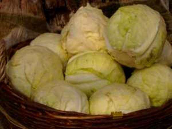 Produktfoto zu Spitzkohl halb