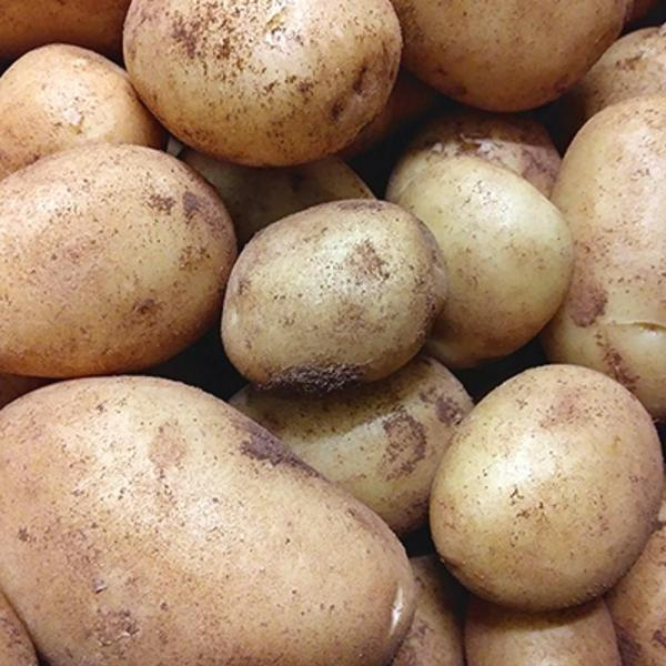 Produktfoto zu Ofenkartoffeln mit Rosmarin