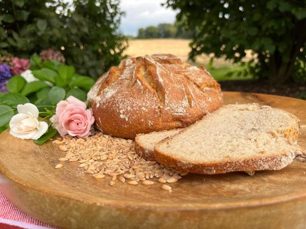 Produktfoto zu Dinkelröschen SB