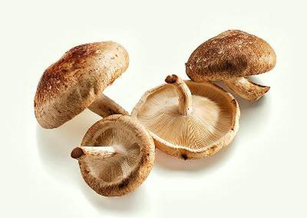 Produktfoto zu Shiitake