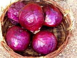 Produktfoto zu Rotkohl