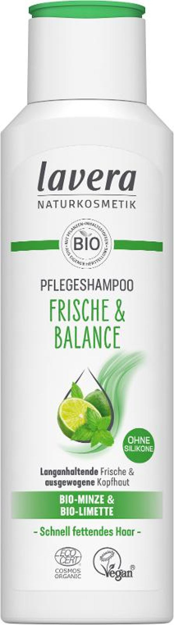 Produktfoto zu Pflegeshampoo Frische und Balance