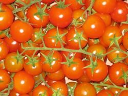 Produktfoto zu Cherry-Tomaten regional