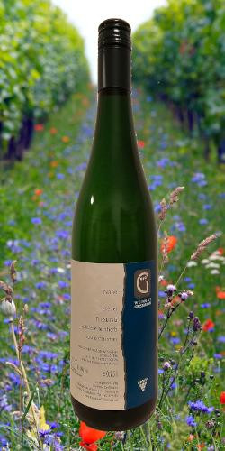 Produktfoto zu Grossmann Riesling vom roten Stein