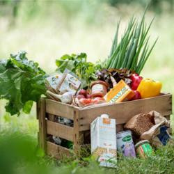 Produktfoto zu Regionalkisten