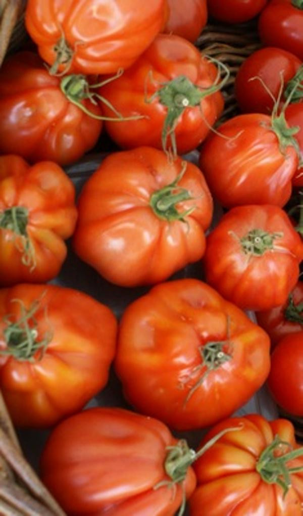 Produktfoto zu Fleischtomate