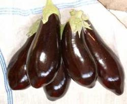 Produktfoto zu Aubergine